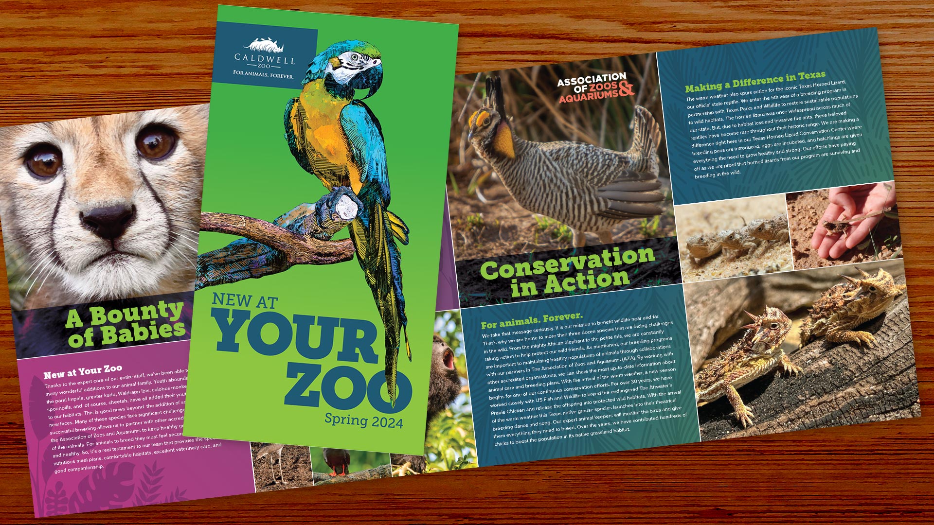 Caldwell Zoo Newsletter